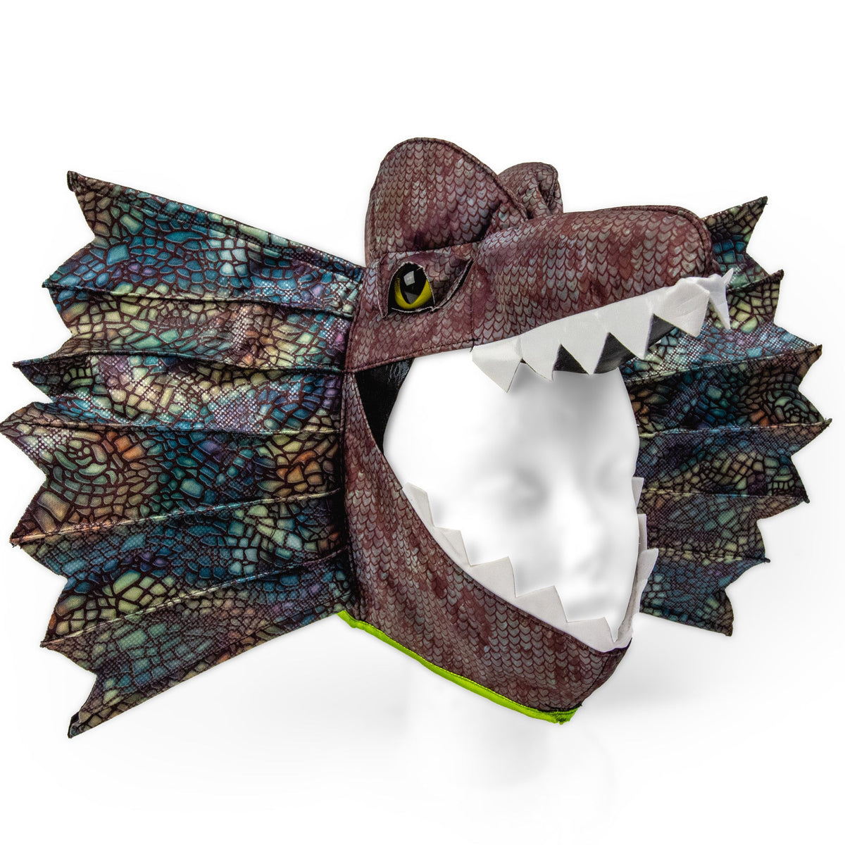 Dinosaur Costume