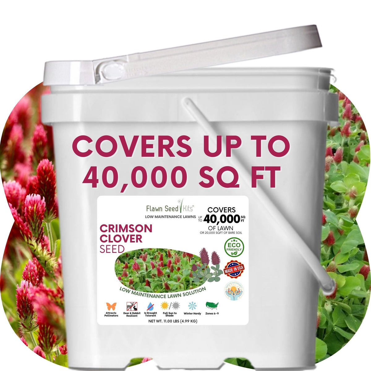 Crimson Clover Seed