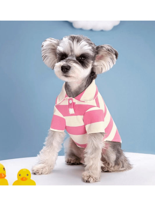 Dress Your Best Friend: Must-Have Outfits for Dogs and Cats