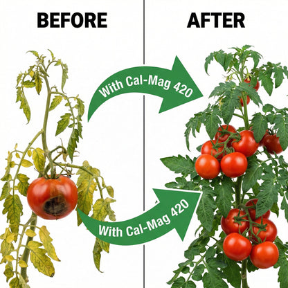 Cal-Mag Extreme – Calcium & Magnesium Feed | GS Plant Foods