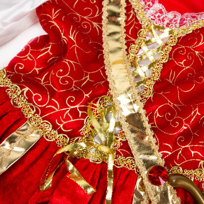 Pirate Princess Costume with Skull and Crossbones Lace