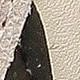 https://img.ltwebstatic.com/images3_spmp/2024/10/20/03/172935435400d2587ffbbc7a018fa9ab03dfee8249.jpg