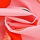 https://img.ltwebstatic.com/images3_pi/2025/03/12/53/174176879056b5d7c88e62d8e9ae7824e5056b7193.jpg