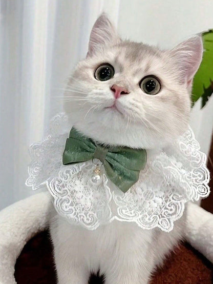 https://img.ltwebstatic.com/v4/j/spmp/2025/05/08/20/17466743059b1ff7d5afe6a2409c6ea9d0d64c8f5e.jpg