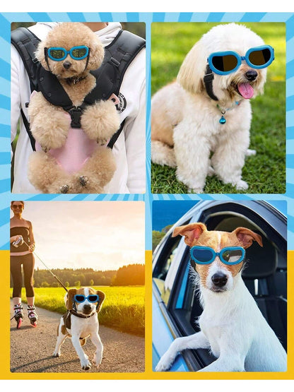 https://img.ltwebstatic.com/v4/j/spmp/2025/06/03/dd/1748946176e2f35206c0ce5bf011f8224eb379e7f2_squfix.jpg