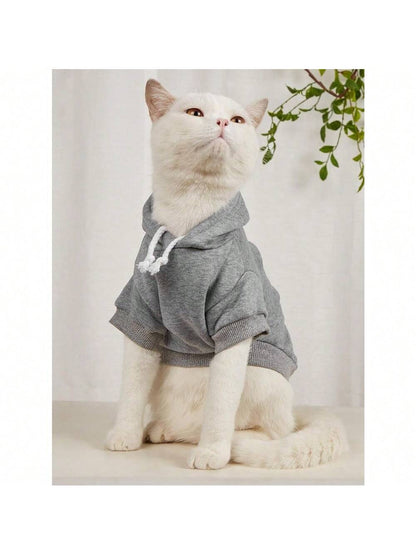 https://img.ltwebstatic.com/v4/j/spmp/2025/06/22/69/1750576603e0b4b24b3d97b82c7e11e162fe0e7e18_square.jpg