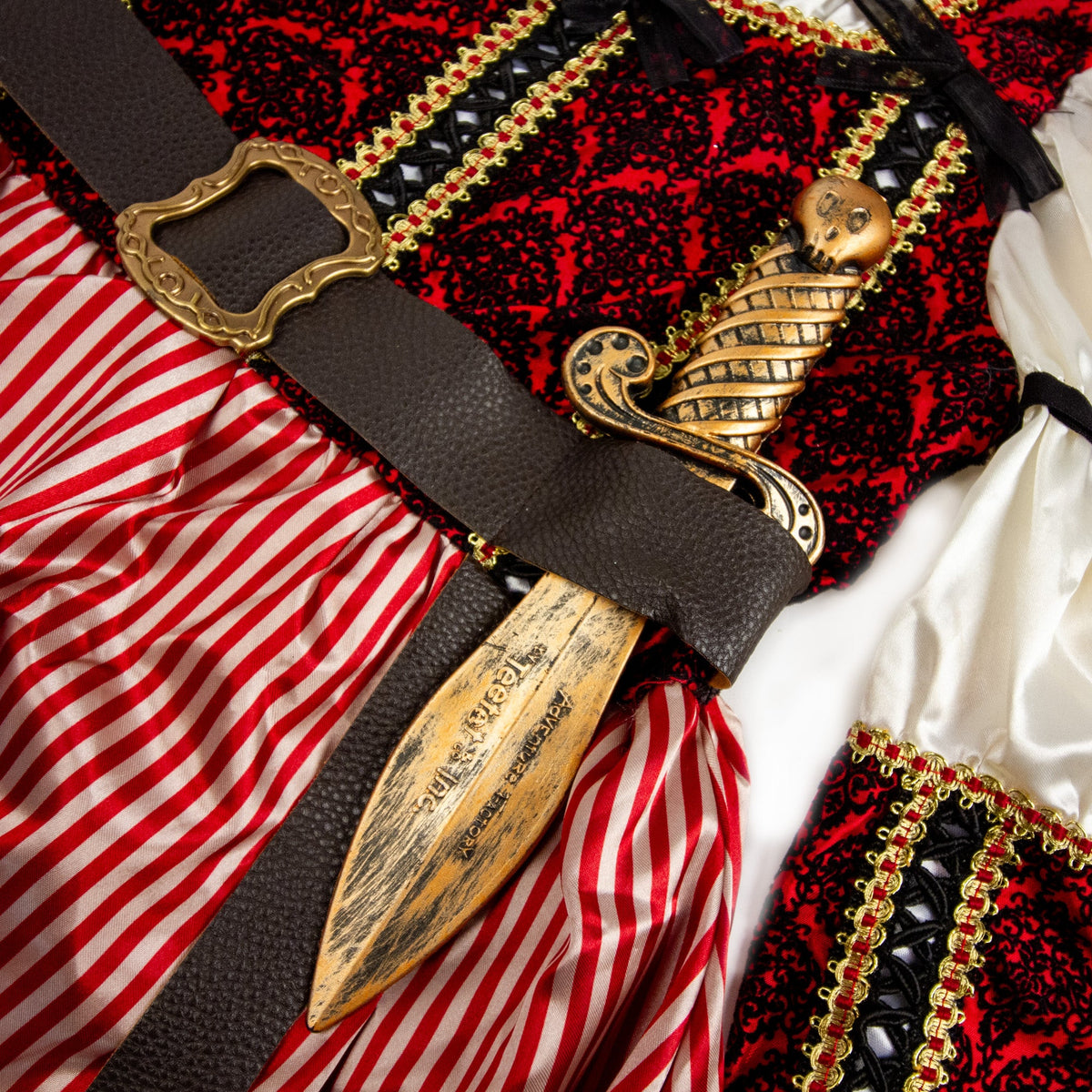 Pirate Queen Costume