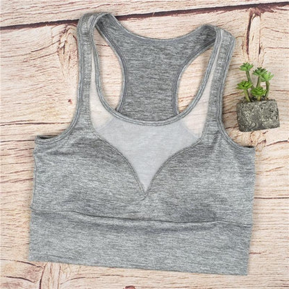 Mesh Insert Sports Bra Yoga Top | Stylish Country Girl Activewear for Fitness & Yoga