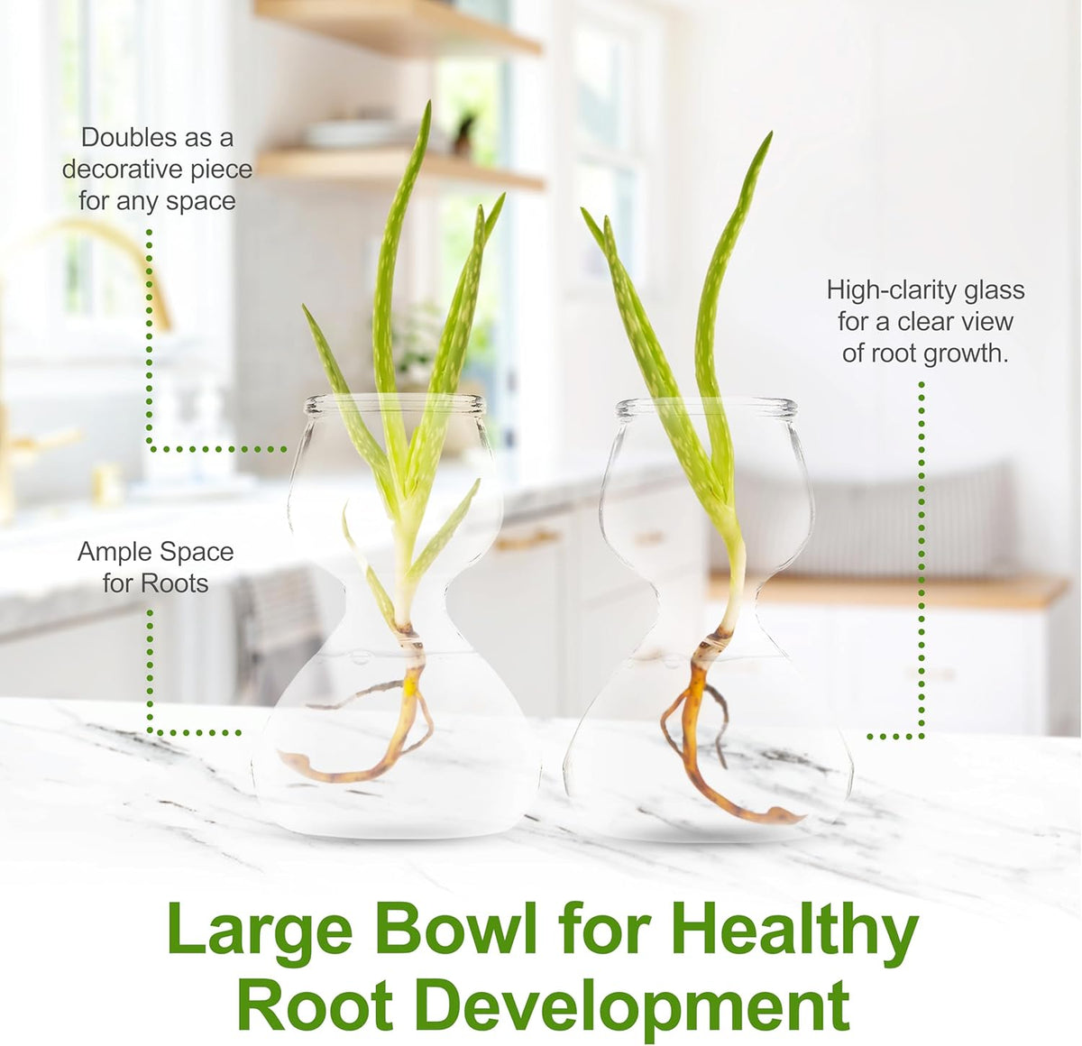 Clear Glass Bud Vases - Propagation Stations (32-Pack)