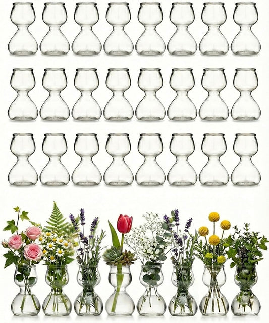 Clear Glass Bud Vases - Propagation Stations (32-Pack)
