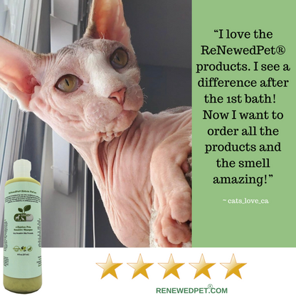 4-HAIRLESS PETS REGULAR CONDITIONER