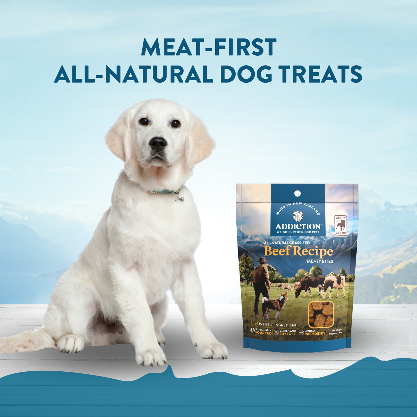 Beef Meaty Bites - Hypoallergenic Dog Treats
