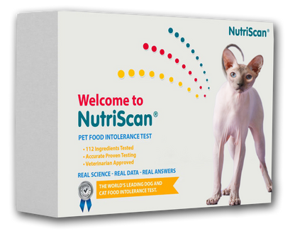 CAT FOOD ALLERGY / SENSITIVITY TEST!