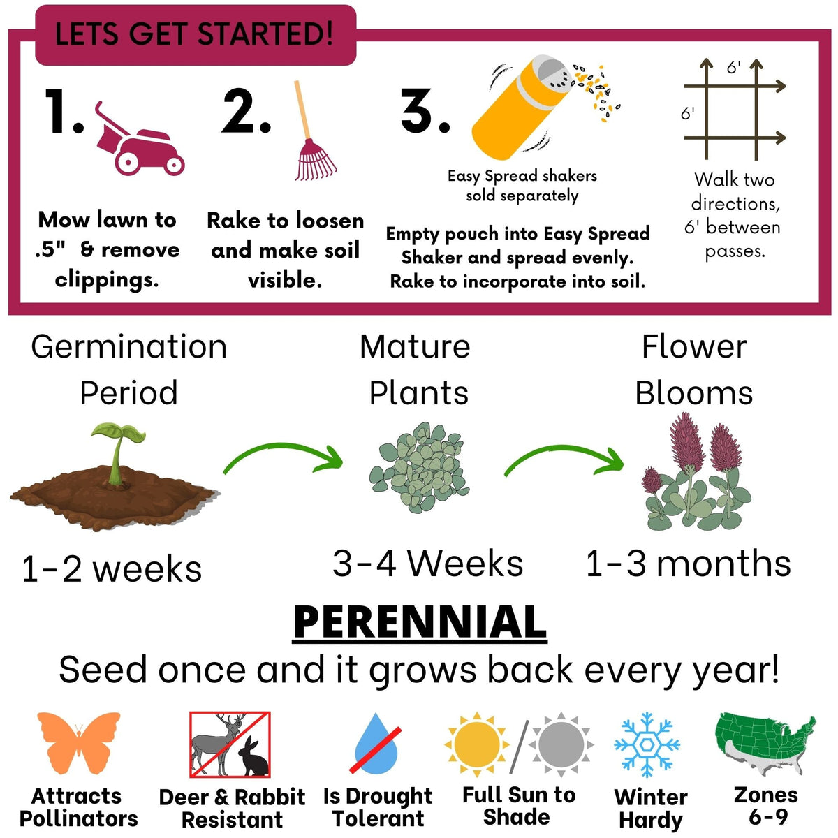 Crimson Clover Seed