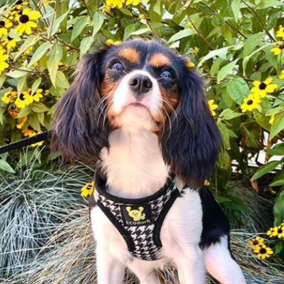 EcoBark Step In Dog Harness - Teacup & Small Breeds- Reflective Soft Mesh Harness for Teacup, Small Dogs and Puppies / Houndstooth