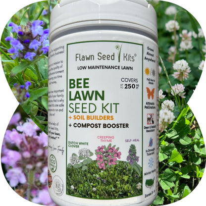 Bee Lawn Seed Kit - Easy Spread Shaker