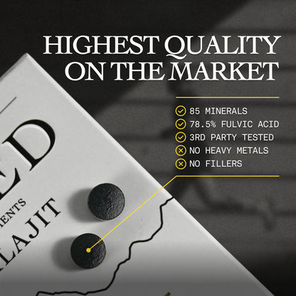 Shilajit Tablets