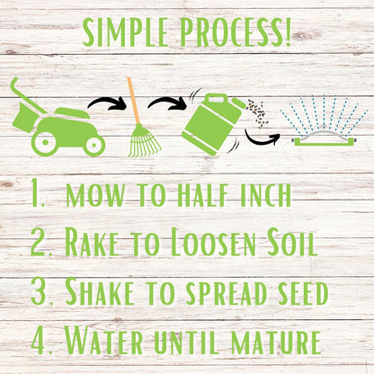 Micro Bee Lawn Seed Mixture - Easy Spread Shaker