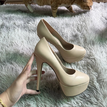 Women's High Heels 14cm Extremely Stripper Pole Dance Stilettos Sexy Platform Pumps Matte Round Toes Party Dress Wedding Shoes