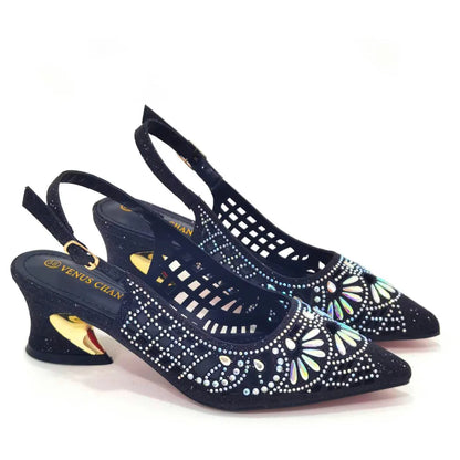 Elegant Ladies Shoes and Bag Set WEQ34
