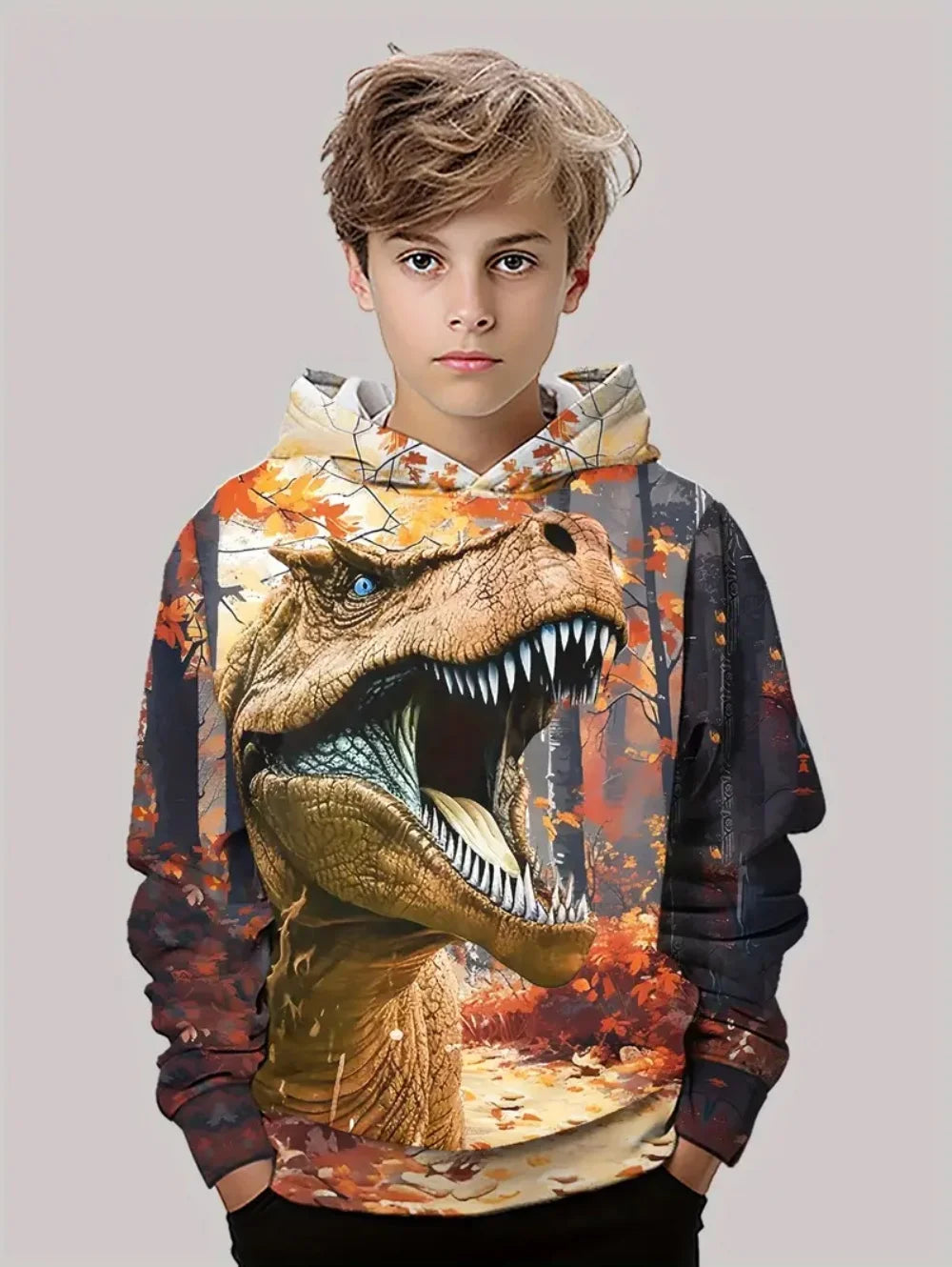 Boys' Hoodies Dinosaur 3d Print Autumn Long Sleeve Tops Pullover Baby Boy Clothes Sweatshirt Outdoor Causal Children's Clothing