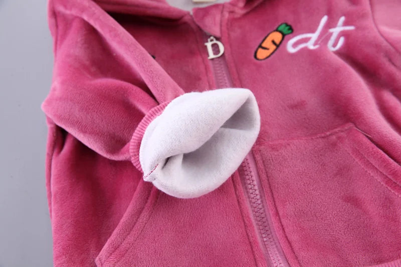 Newborn Baby Boys Clothes 2023 Autumn Baby Girls Clothes Hoodie+Pant Outfit Kids Costume Suit Infant Clothing For Baby Warm Sets