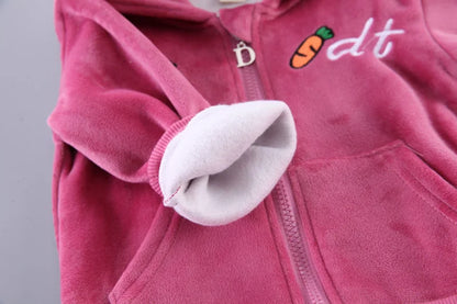 Newborn Baby Boys Clothes 2023 Autumn Baby Girls Clothes Hoodie+Pant Outfit Kids Costume Suit Infant Clothing For Baby Warm Sets