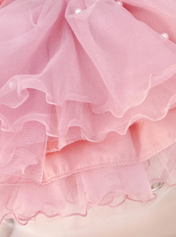 Baby Girl Princess Dress Autumn Toddler Bow Mesh Dresses for Girls Clothing 1st Birthday Party Dresses Newborn Baby Clothes