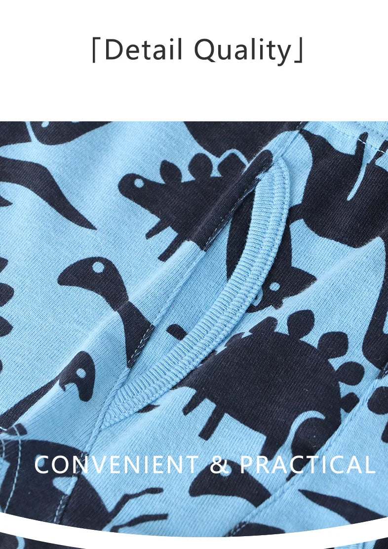 6 Pcs Baby Toddler Boys' Underwear,  100% Cotton Little Boys Briefs Soft Dinosaur Truck Boxer Briefs
