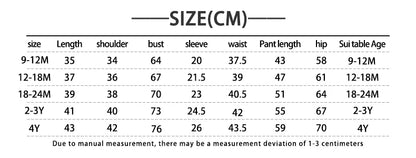 Kids Baby Girls Boys Clothes Costume Long sleeve Hooded Tracksuit Tops Pants Children Spring Outfits Baby Set infantil Newborn