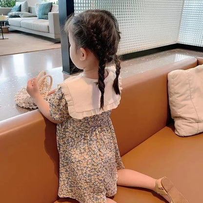 Girls' Floral Dress, Summer Dress, Popular Online, Children's Baby Dress, Stylish Little Girl Dress