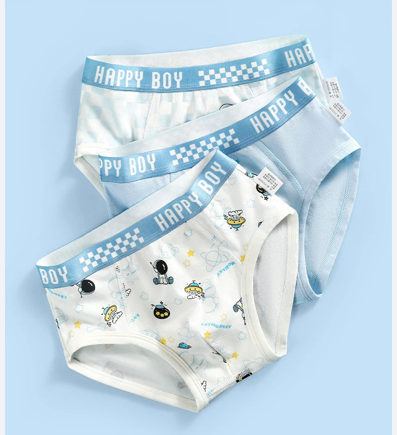 6PCS Kids Cotton Soft Antibacterial Briefs for Boy Thin Breathable Panties Cute Cartoon Print Knickers 3+y Young Child Underwear