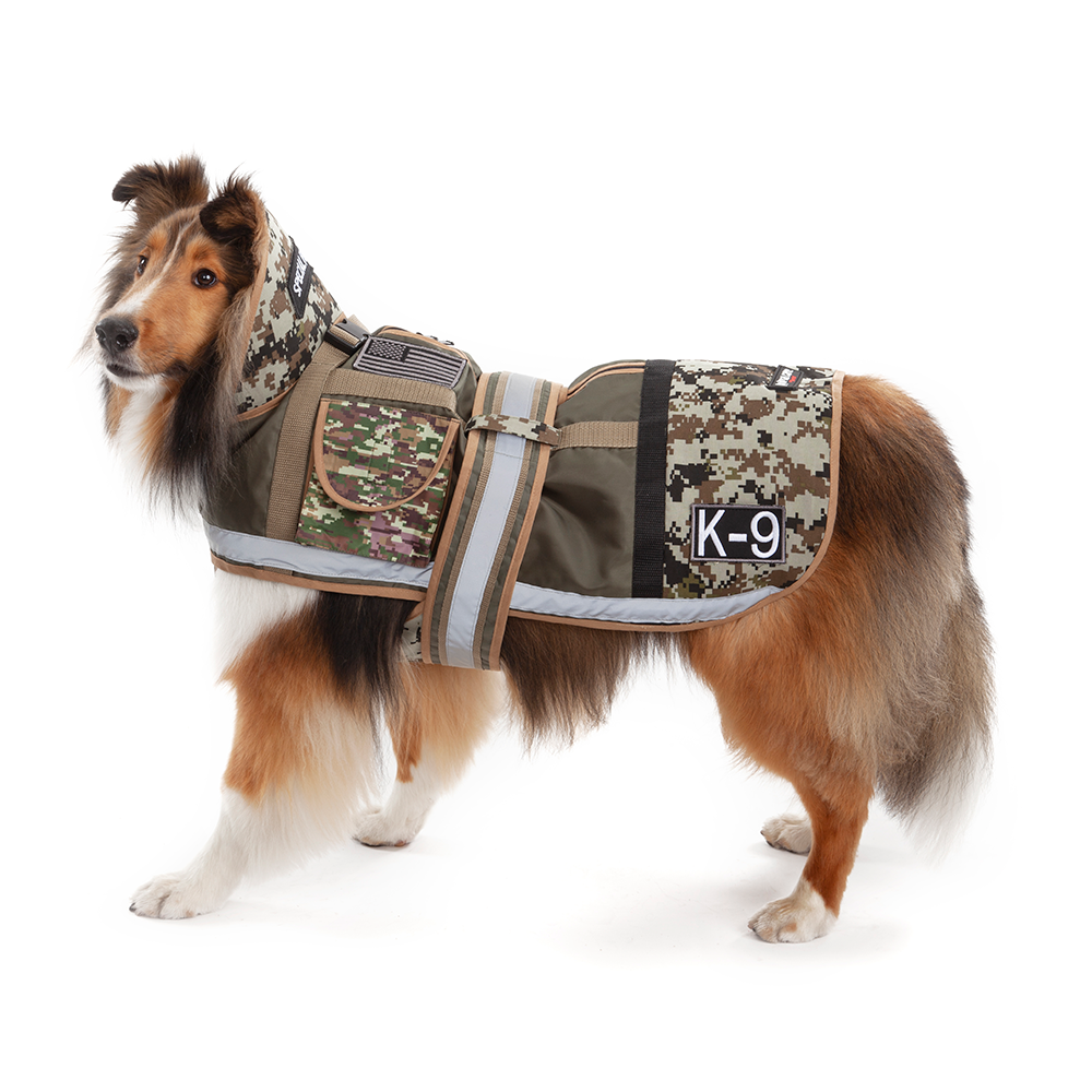 AnimalCamp™ Special Forces Dog Costume
