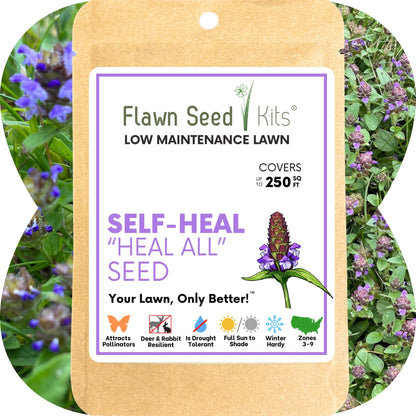 Self-Heal Seed Pouch