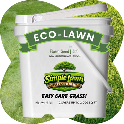 Simple Lawn Fine Fescue Grass Seed