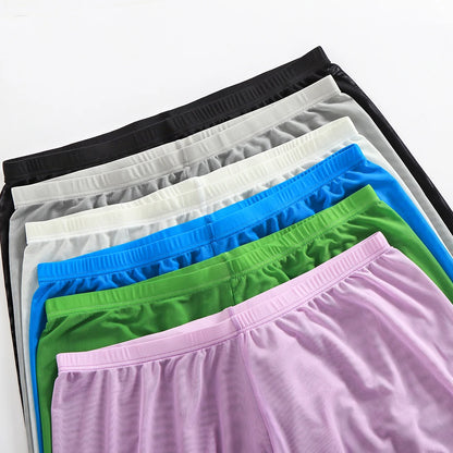 Men's Sexy Soft Mesh Sheer See-through Stretch Pants Trousers Sleepwear Hot Translucent Men Pants Homewear