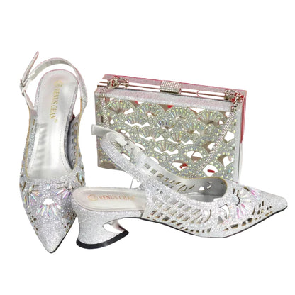 Elegant Ladies Shoes and Bag Set WEQ34