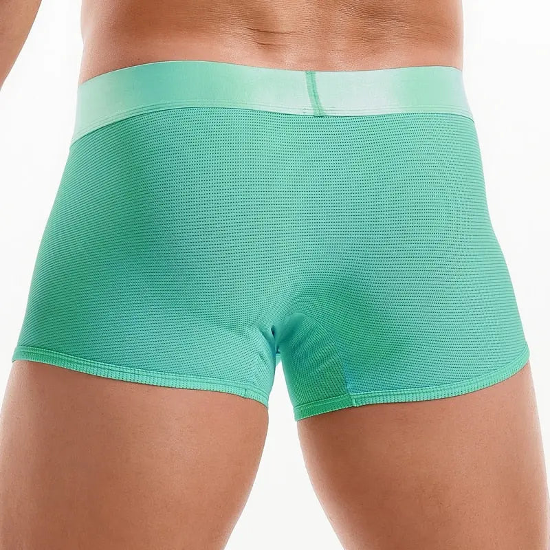 Shiny Waist Trunks
