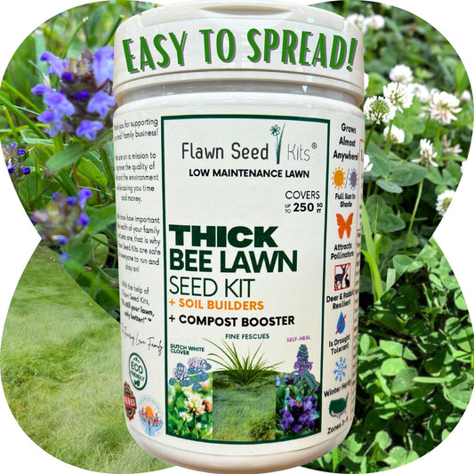 Thick Bee Lawn Seed Kit