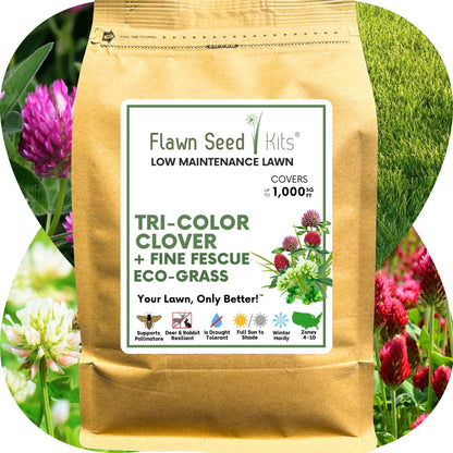 TRI-Color Clover + Mow Less Grass Seed