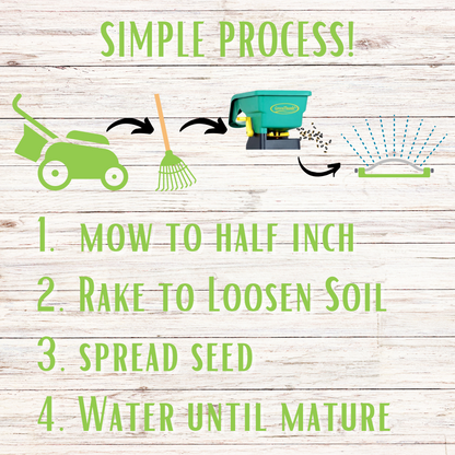 Micro Clover + Mow Less Grass Seed