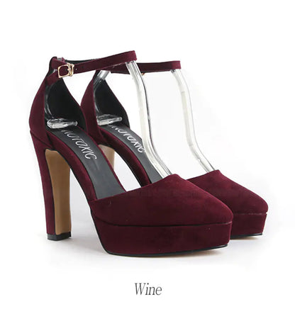 New Korean Style Pointed Toe Chunky Heels for Women