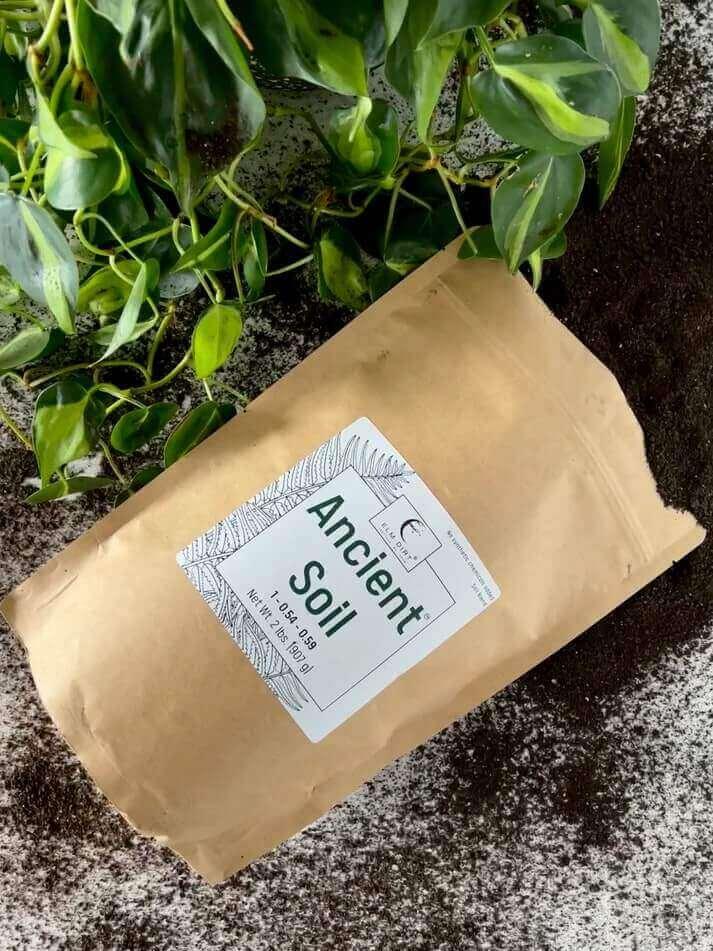 Ancient Soil Organic Living Soil