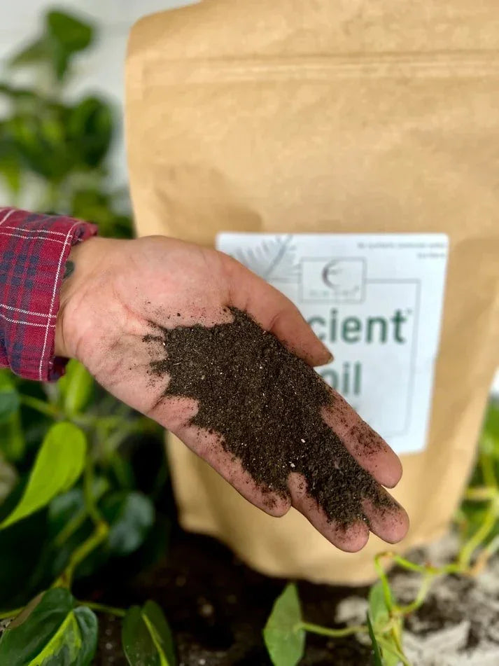 Ancient Soil Organic Living Soil