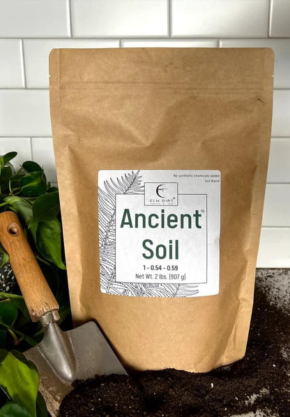 Ancient Soil Organic Living Soil