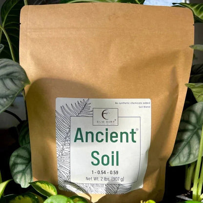 Ancient Soil Organic Living Soil
