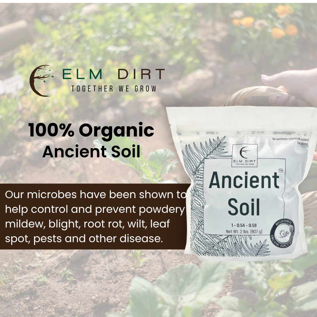 Ancient Soil Organic Living Soil