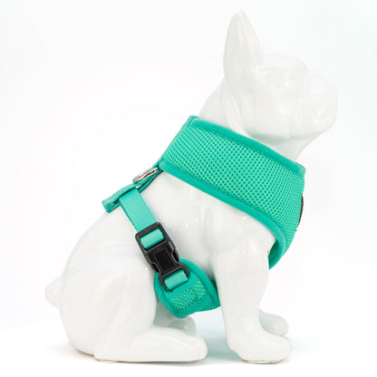 EcoBark Mint Turquoise Dog Harness - Over-the-Head Soft Mesh Vest Halter for Small to Medium Dogs