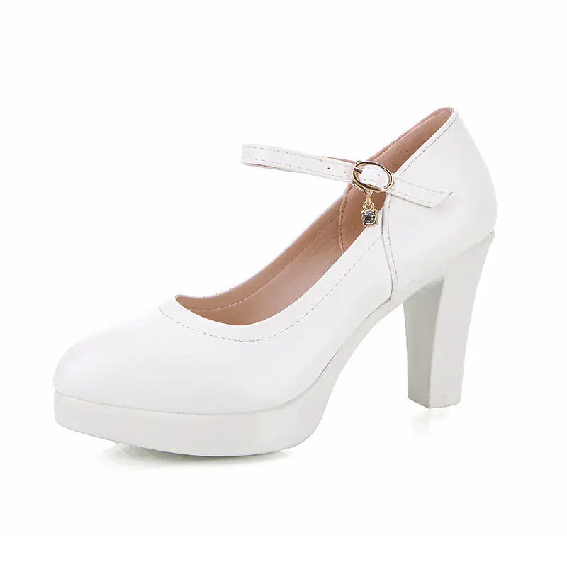 Pointed Toe Chunky Heels for Women