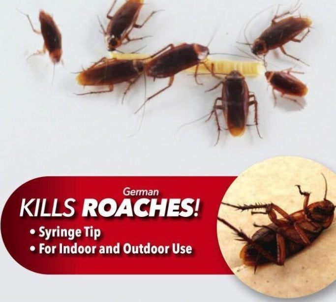 Roach Doctor Gel – Cockroach Killing Gel Bait 30g Syringe